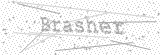 Security Picture (click to change)