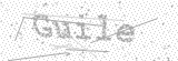 Security Picture (click to change)