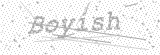 Security Picture (click to change)