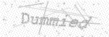 Security Picture (click to change)