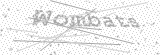 Security Picture (click to change)
