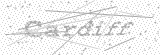 Security Picture (click to change)