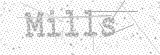 Security Picture (click to change)