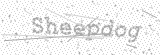 Security Picture (click to change)