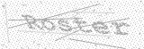 Security Picture (click to change)