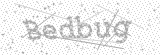 Security Picture (click to change)