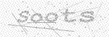 Security Picture (click to change)