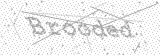 Security Picture (click to change)