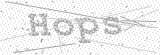 Security Picture (click to change)