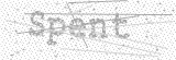 Security Picture (click to change)