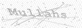 Security Picture (click to change)
