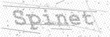 Security Picture (click to change)