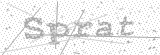 Security Picture (click to change)