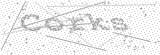 Security Picture (click to change)