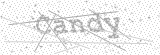 Security Picture (click to change)