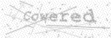 Security Picture (click to change)