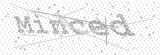 Security Picture (click to change)