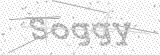 Security Picture (click to change)