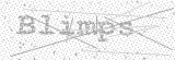 Security Picture (click to change)