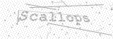 Security Picture (click to change)