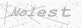 Security Picture (click to change)