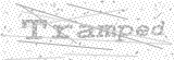 Security Picture (click to change)