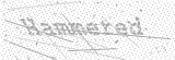 Security Picture (click to change)