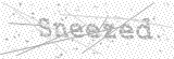 Security Picture (click to change)