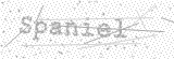 Security Picture (click to change)
