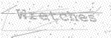 Security Picture (click to change)