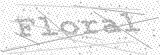 Security Picture (click to change)