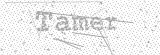Security Picture (click to change)