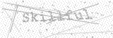 Security Picture (click to change)