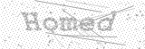 Security Picture (click to change)