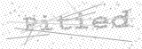 Security Picture (click to change)