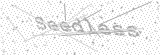 Security Picture (click to change)