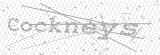 Security Picture (click to change)