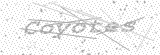 Security Picture (click to change)