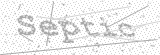 Security Picture (click to change)
