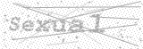 Security Picture (click to change)