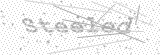 Security Picture (click to change)
