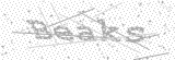 Security Picture (click to change)