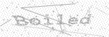 Security Picture (click to change)