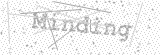 Security Picture (click to change)