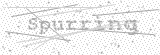 Security Picture (click to change)