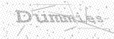 Security Picture (click to change)