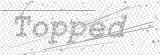 Security Picture (click to change)
