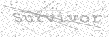Security Picture (click to change)