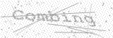 Security Picture (click to change)