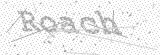 Security Picture (click to change)